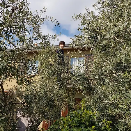 Casa Malina Im Gruenen Am Gardasee *
