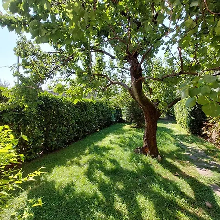 Casa Malina Im Gruenen Am Gardasee * טוסקולנו מדרנו